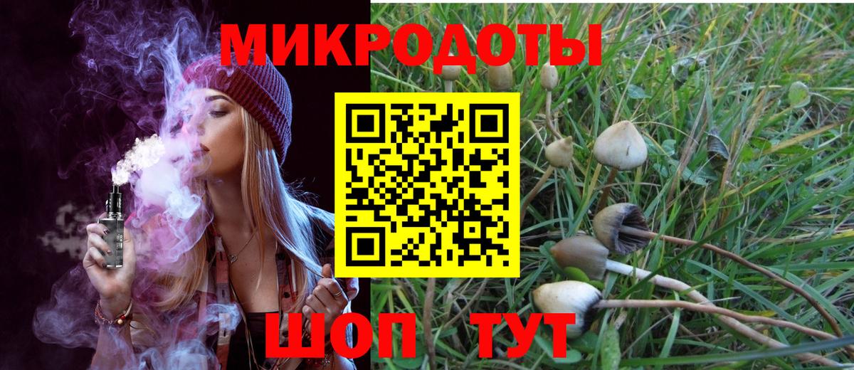 Галлюциногенные грибы Psilocybine cubensis Великий Устюг