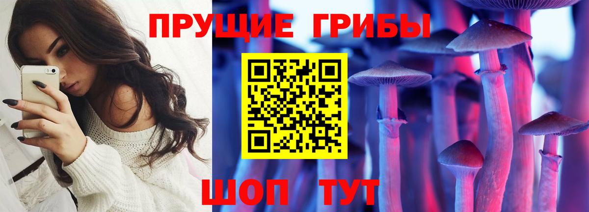Псилоцибиновые грибы прущие грибы  Вход с VPN  купить наркоту  Великий Устюг 